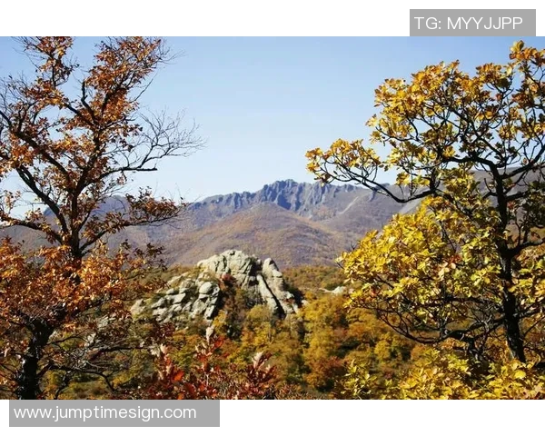 晚秋时节的诗意与谜趣字谜汇总探秘之旅